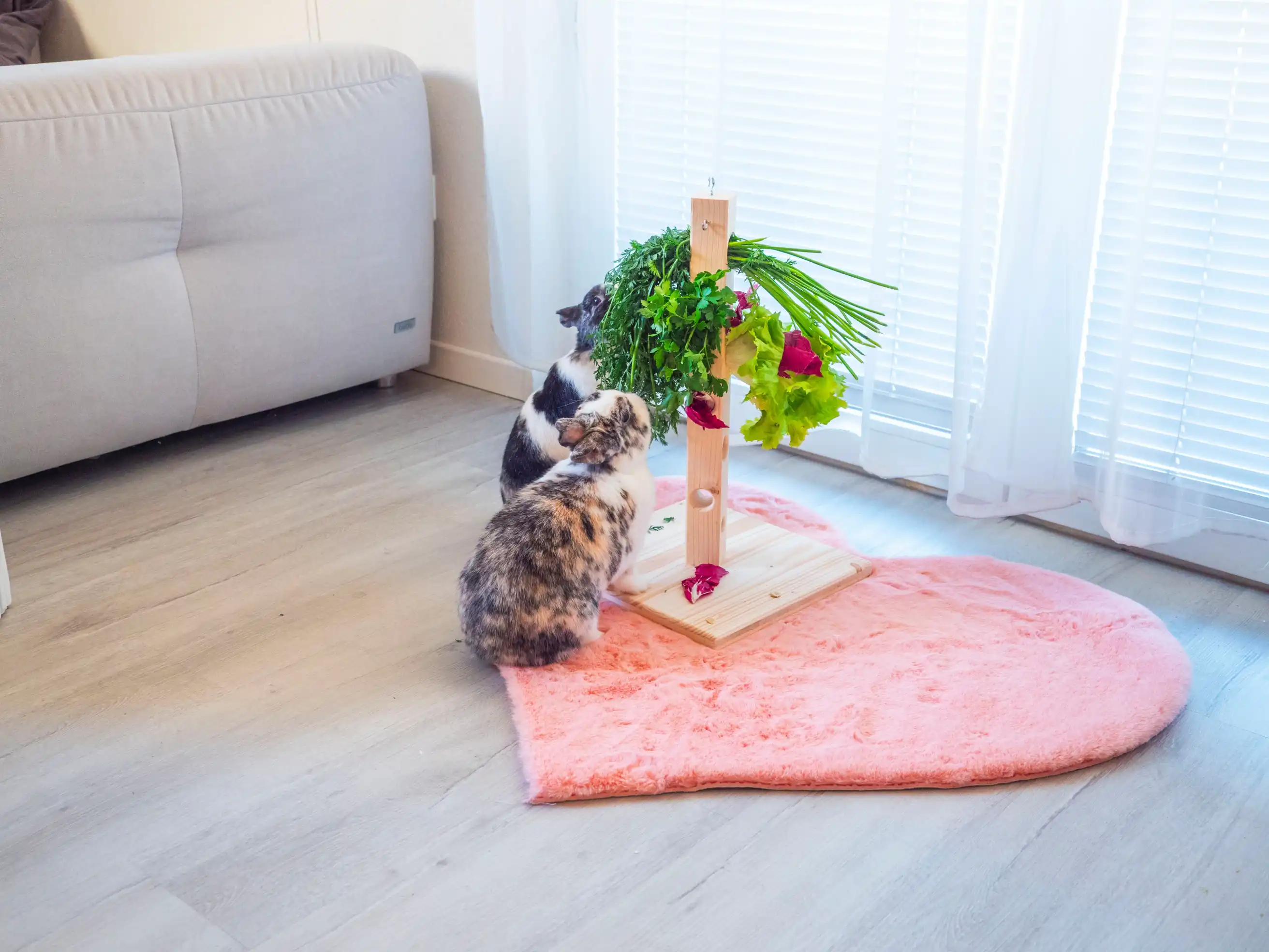 Ein Kaninchen in artgerechter Innenhaltung streckt sich an einem stabilen Holz-Futterbaum nach frischen Kräutern